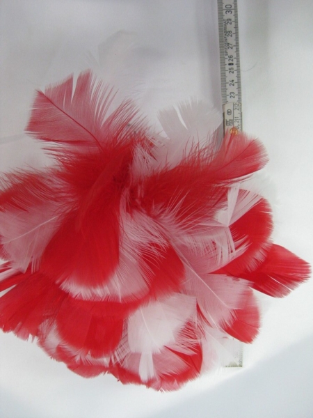 Rot-weißer Gardebusch 15 cm hoch